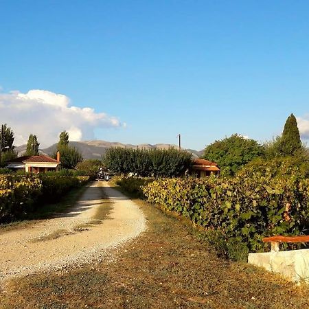 Authentic Country House In Zakynthos Ambelokipoi (Zakynthos) Exterior foto