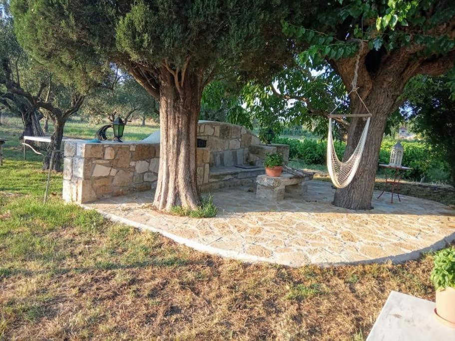 Authentic Country House In Zakynthos Ambelokipoi (Zakynthos) Exterior foto