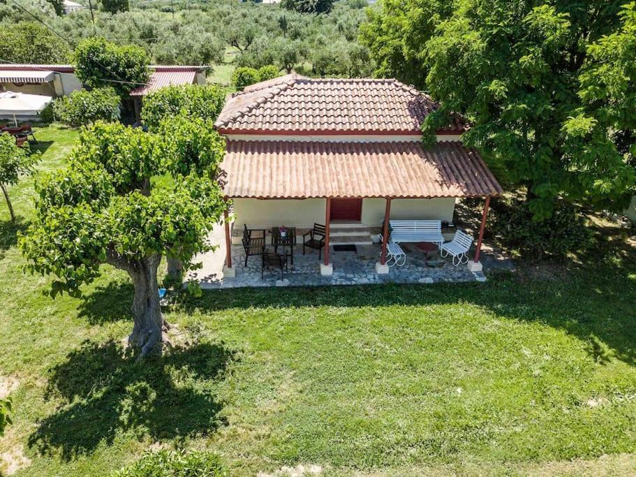Authentic Country House In Zakynthos Ambelokipoi (Zakynthos) Exterior foto